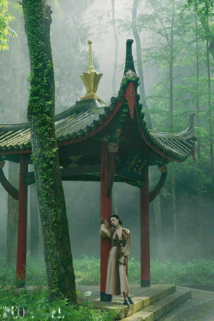 民事诉讼是什么意思-快速解答你的问题